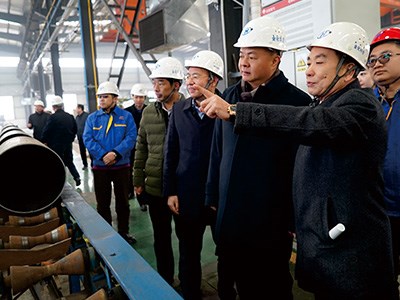 衡陽市委書記、市人大常委會主任鄭建新視察金化高容